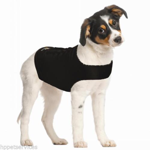 Zendog Calming Shirt *